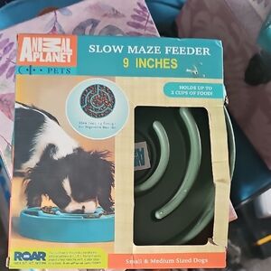 Animal Planet Green Slow Feeder for Small Pets